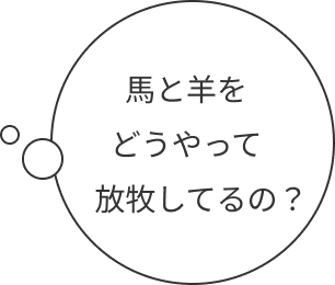 「馬と羊どうやって放牧してるの？」という疑問
