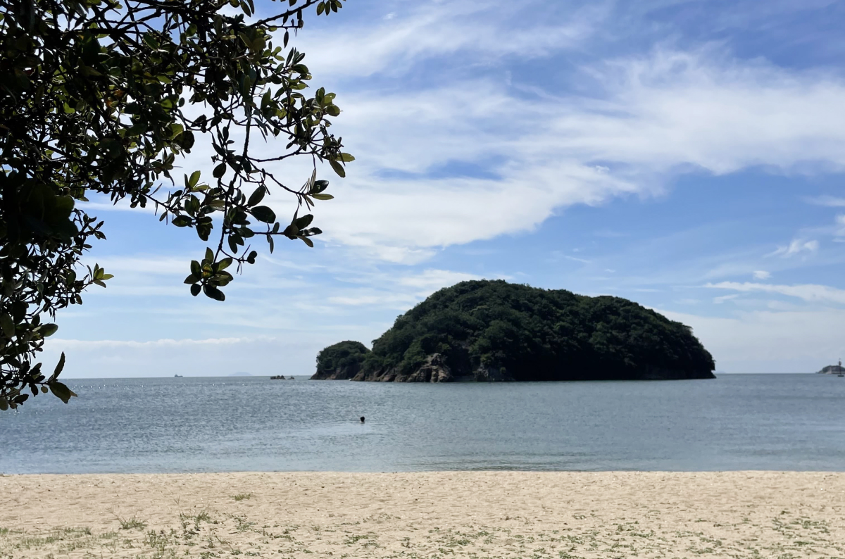 海岸の風景