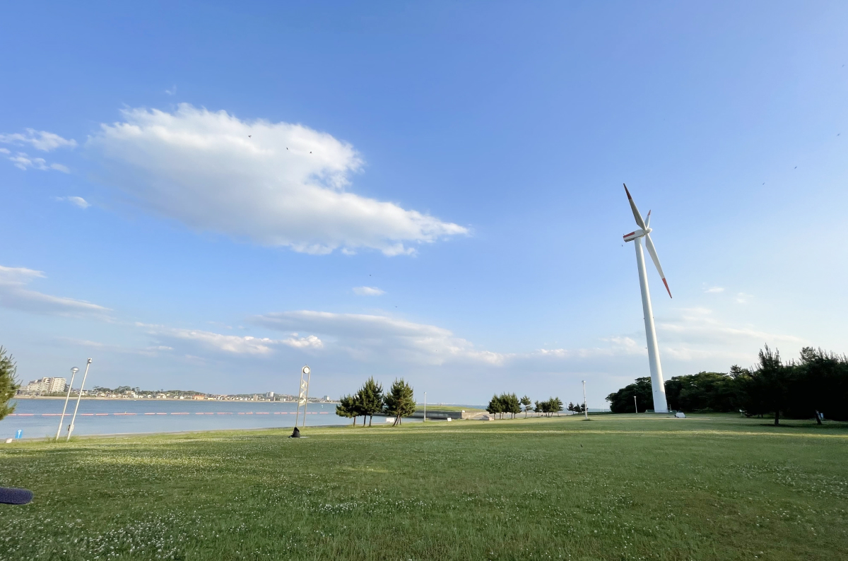 ヨガの風景